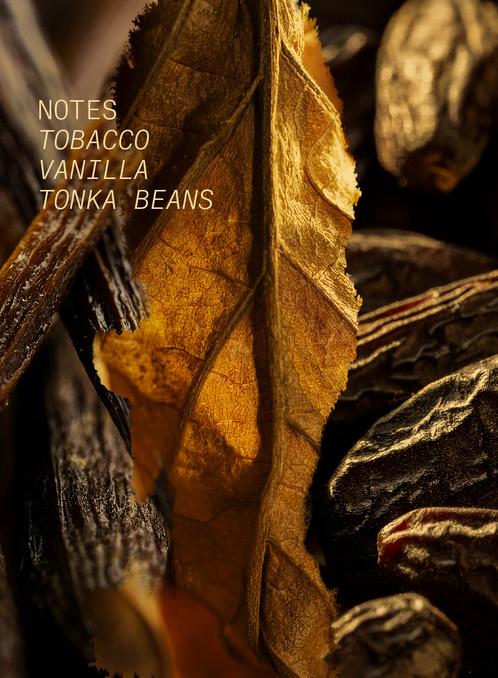 TOBACCO VOLUTE