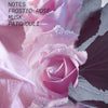ROSE COUP DE FOUDRE